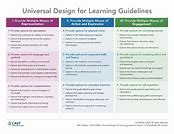 Image result for Universal Design Lesson Plan Example