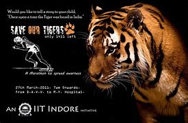 Image result for Save Tiger Art