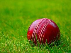 Image result for Cricket