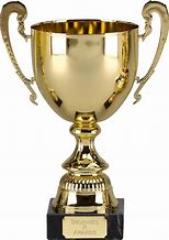 Image result for Football Trophy No Background