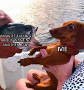 Image result for Funny Dog Fishing Memes