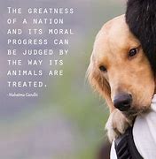 Image result for Stay Kindness Quotes Animals
