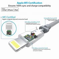 Image result for iPhone 11 Inside of Charger Port