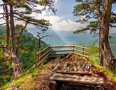 Image result for Windows Theme Nature Serbia