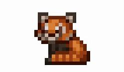 Image result for Baby Red Panda Terraria