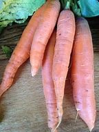 Image result for Baked Carrots