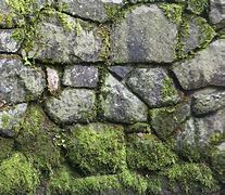 Image result for Stone Wall Texture