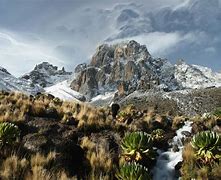 Image result for Kenya Highlands