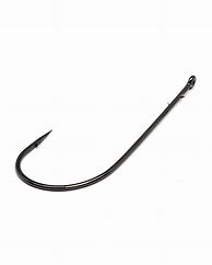 Image result for Worm Fishing Hooks