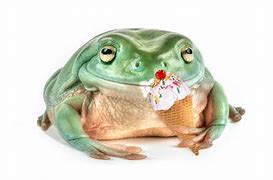 Image result for Funny Fat Frog