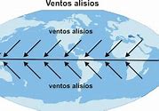 Image result for alisiod