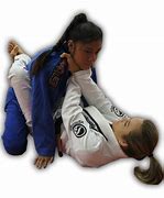 Image result for Jiu Jitsu Design Transparent Background