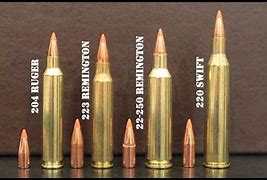 Image result for 223 Remington vs 22-250