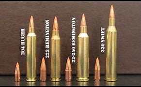 Image result for 222 Remington vs .223