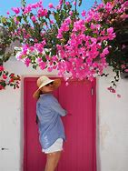 Image result for Paros Cyclades Greece