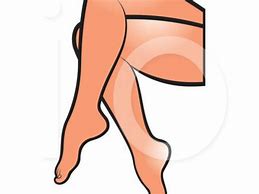 Image result for Thigh Clip Art