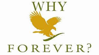Image result for Why Forever Book