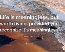 Image result for Meaningless Life Quotes