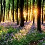 Image result for Scenery 4K Ultra Wide Wallpaper