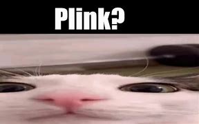 Image result for Plink Cat Hamster