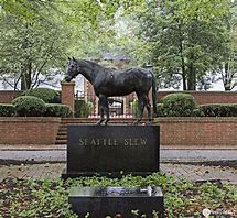 Image result for Seattle Slew Racehorse
