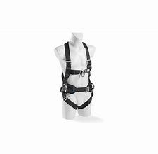 Image result for Full Body Harness Double Hook