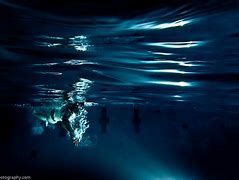 Image result for Swimming in the Deep End