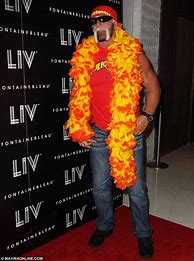 Image result for Hulk Hogan Boa