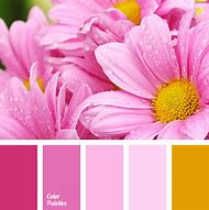 Image result for Yellow-Green Pink Poster