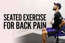 Image result for Sitting Down Low-Back Exercise