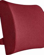 Image result for Mesh Chair Back Support