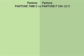 Image result for Pantone 7486 C