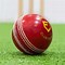 Image result for Lixer Cricket Boll