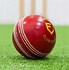 Image result for Cricket Ball