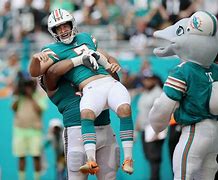 Image result for Miami Dolphins Eagles Meme