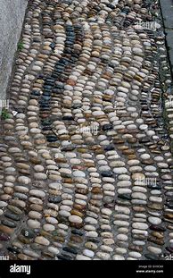 Image result for One Pebble in the Middle of the Road