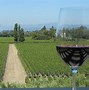 Image result for Jacuzzi Family Nebbiolo