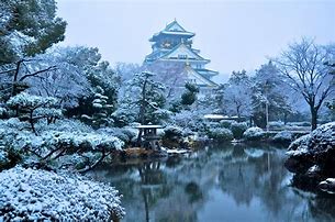 Image result for Osaka Castle Park Winter