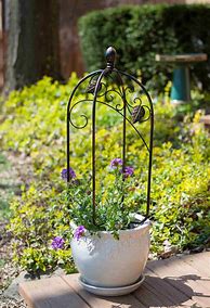 Image result for Plant Trellis