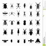 Image result for Bug Silhouette Images