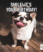 Image result for Beau Birthday Memes