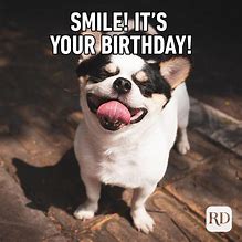Image result for Happy Birthday Meme Work-Appropriate Animal