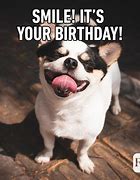 Image result for Happy Birthday Funny for Him