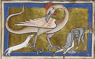 Image result for medieval bestiaries illustration