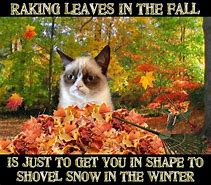 Image result for Grumpy Cat Autumn