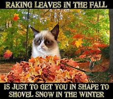 Image result for Grumpy Cat Snow Meme