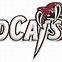 Image result for Wildcats Cute SVG