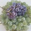 Image result for Grape Variety