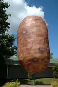 Image result for World's Biggest Potato