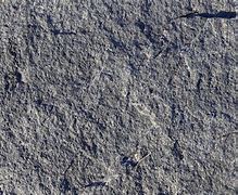 Image result for Gray Rock Texture